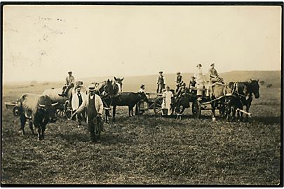 Tybrind ved Ejby, markarbejde med hestevogne. Fotokort sendt fra Ejby.