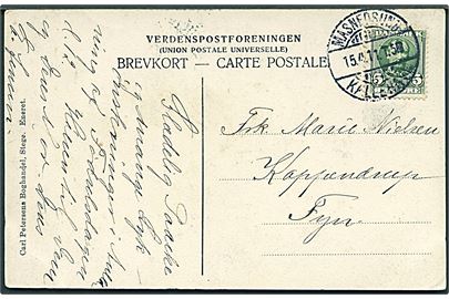 5 øre Fr. VIII på brevkort annulleret med bureaustempel Masnedsund - Kallehave T.5 d. 15.4.1911 til Kappendrup, Fyn.