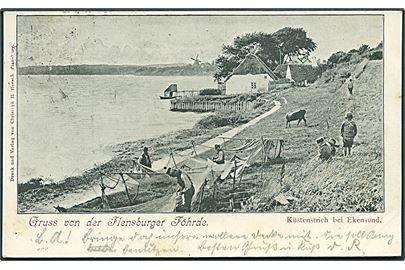 Egernsund, kystparti. Gruss von der Flensburger Förde. C. H. Heesch, u/no.