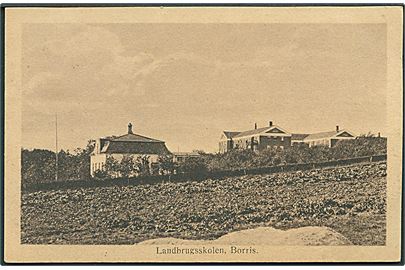 Landbrugsskolen Borris. Chr. Mikkelsens Boghandel u/no.