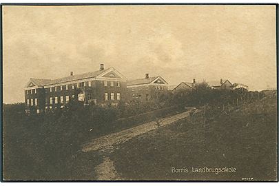 Borris Landbrugsskole. Stenders no. 47279. 