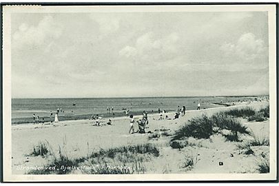 Stranden ved Bjælkestuen, Hornbæk. Stenders no. 78912. 