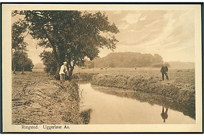 Uggerløse Aa, Ringsted. Alex Vincents no. 443. 