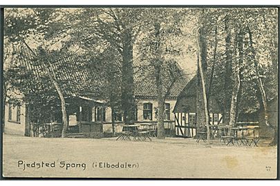 Pjedsted Spang (I Elbodalen). Jens Andersen no. 246. 