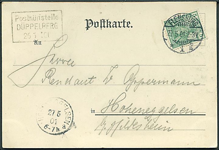 5 pfg. Germania Reichpost på brevkort (Gruss von den Düppeler Schanzen) annulleret Flensburg d. 27.5.1901 og sidestemplet Posthülfstelle DÜBBELBERG 26.5.01 til Hoheneggelsen.