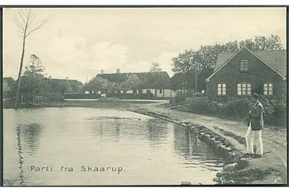 Parti fra Skaarup. Stenders no. 11161. 