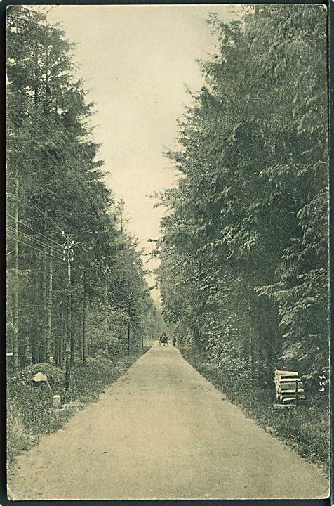 Parti fra Plantagen ved Hornbæk. Bodelsen & Wejby no. 319.