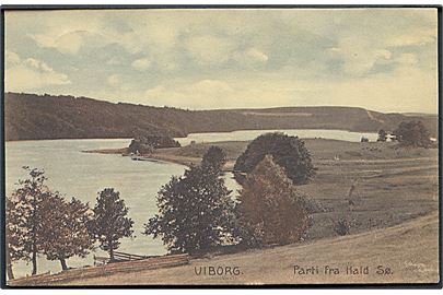 Viborg. Parti fra Hald Sø. Stenders no. 13108. 