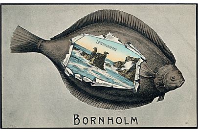 Bornholm, Fladfisk med prospekt af Løvehovederne. No. 586. Kvalitet 8