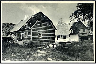 Tromnæs. Hegnsmandens Hus. Stenders no. 91303. 