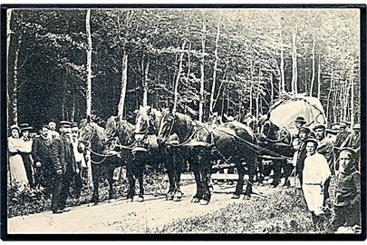 Stenen på Thurø Torv hentes i Thurø skov. Fru H. Jepsen & Søn no. 40060.