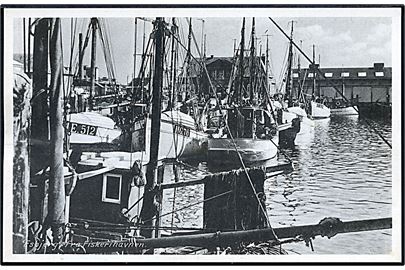 Esbjerg. Fiskerihavnen. Stenders, Esbjerg no. 49. 