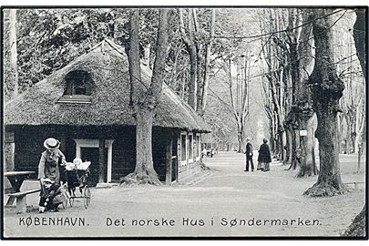 København. Det norske hus i Søndermarken. Stenders no. 10785. 