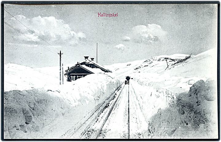 Norge, Hallingskei station. Mitte & Co. u/no.