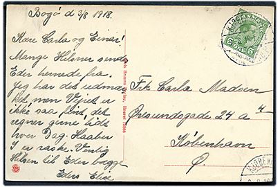 5 øre Chr. X på brevkort (Badehotellet Søvang, Bogø) dateret på Bogø og annulleret med bureaustempel Kjøbenhavn - Nykjøbing F. T. 92 d. 3.8.1918 til København.