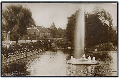 Odense. Parti fra Munkemose. Stenders no. 1028. 