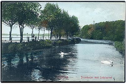 Fredericia. Strandvejen med Lodstaaarnet. W.K.F. no. 4103.