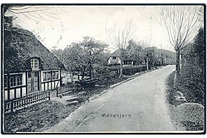 Parti fra Møllebjerg (Nær Verninge). No. 3763.