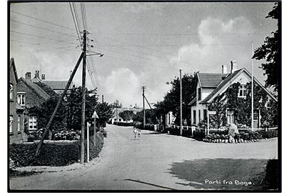 Bogø. Parti fra. Stenders no. 95979.