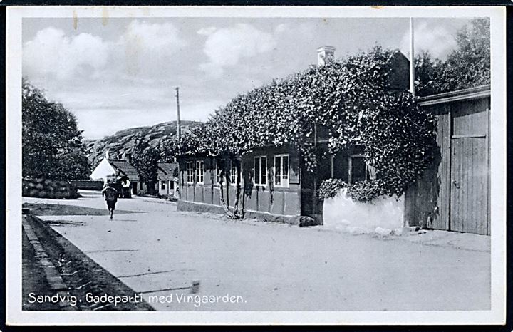 Sandvig, gadeparti med Vingaarden. Colberg no. 604.