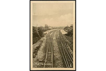 Rungsted station med jernebane sporene. I. Chr. Olsen no. 1463.