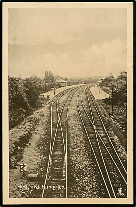 Rungsted station med jernebane sporene. I. Chr. Olsen no. 1463.