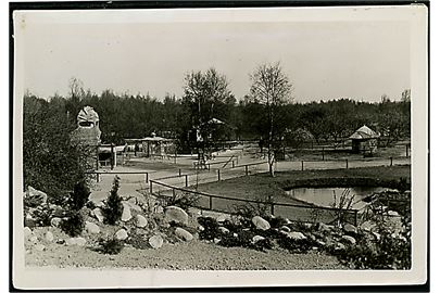 Randers, Zoologisk have. Fotografi ca. 12x17 cm. Forlæg til fremstilling af postkort fra Robert Olsens Kunstforlag. 