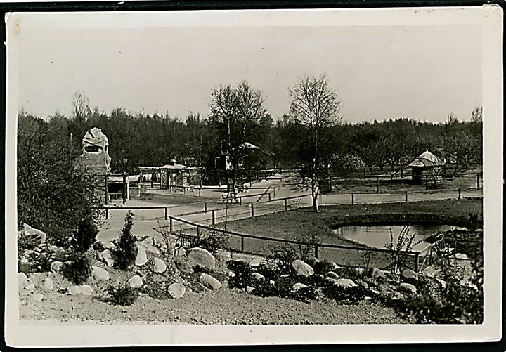 Randers, Zoologisk have. Fotografi ca. 12x17 cm. Forlæg til fremstilling af postkort fra Robert Olsens Kunstforlag. 