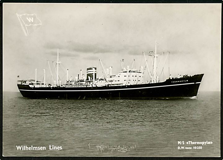 Thermopylæ, M/S, Wilh. Wilhelmsen, Tønsberg.