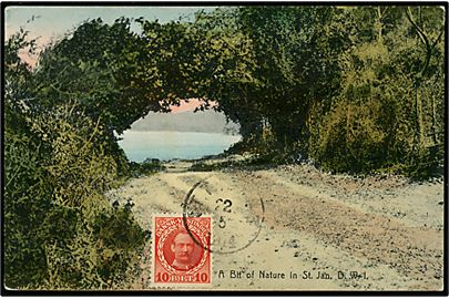 D.V.I., St. Jan. A bit of Nature in St. Jan. Lightbourns serie no. 83. Med 10 bit Fr. VIII annulleret St. Thomas d. 22.05.1914 til Hamborg, Tyskland.