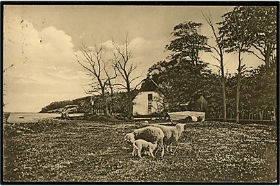 Aarhus, Moesgaard strand med får. W. & M. no. 68/13.