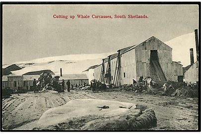 South Shetlands Whaling Station. U/no.