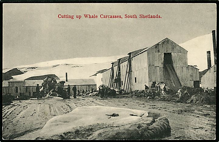 South Shetlands Whaling Station. U/no.