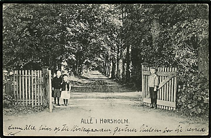 5 øre Fr. IX single på underfrankeret brevkort (Alle i Hørsholm) fra Hørsholm d. 11.6.1907 til White River, Ontario, Canada. Rammestempel Utilstrækkelig frankeret og påskrevet 18 3/4 cts.