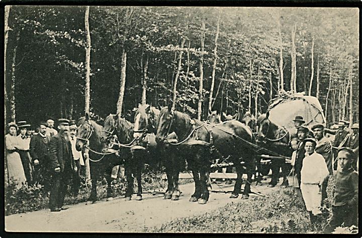 Thurø. Stenen på Thurø Torv hentes i Thurø skov med hestetrukken vogn. Fru H. Jepsen & Søn no. 40060.