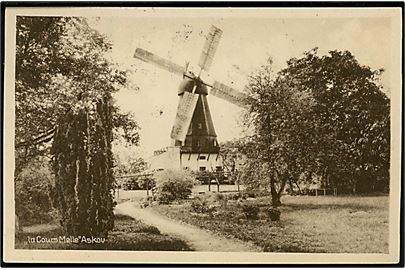 Askov, La Cours mølle. Stenders no. 6.