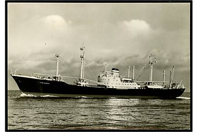 Tübingen, M/S, Hamburg-Amerika Linie. 