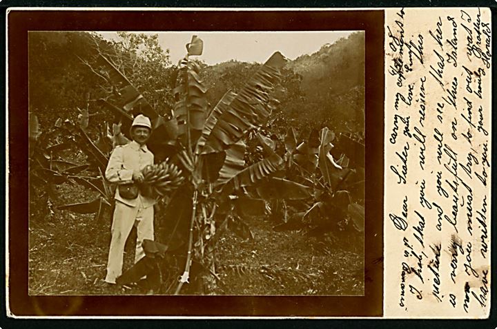 D.V.I., Gendarm Holger Andersen og bananpalme. Fotografi påklæbet 10 bit Fr. VIII helsagsbrevkort fra Frederikssted d. 6.5.1908 til Odense, Danmark.