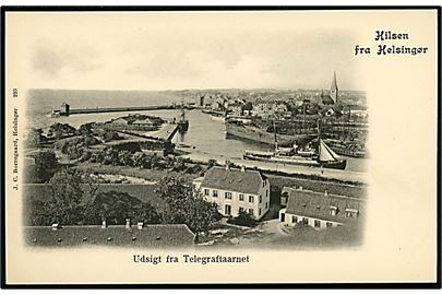 Helsingør. Udsigt fra Telegraftaarnet. J.C. Borregaard no. 223.