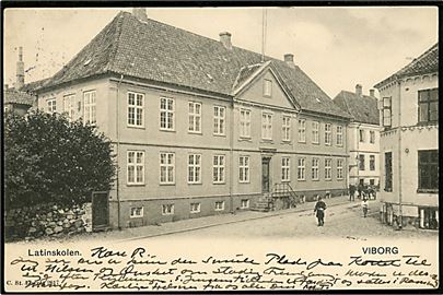 Viborg Latinskolen. Stenders no. 2617.