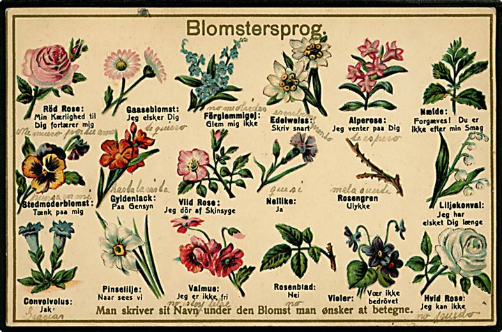 Blomstersprog. Reliefkort fra V. Müllers Kunstforlag u/no.