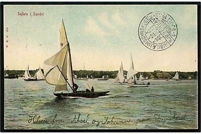 Købh., lystbåde i Øresund. Warburg no. 279. På billedside stempel: Jubilæumsdyreskuet Kjøbenhavn 6-9 Juli 1905. Frankeret med 3 øre Tofarvet.