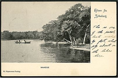 Silkeborg, Hilsen fra med anløbsbroen ved Naaege og lille båd. M. Digmann u/no. Frankeret med 5 øre Våben (2) annulleret lapidar Silkeborg JB.P. d. 5.9.190? til England.