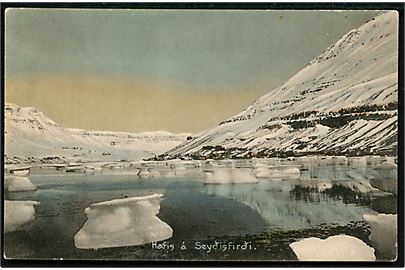 Hafis a Seydisfirdi. E. Jónsson no. 25715.