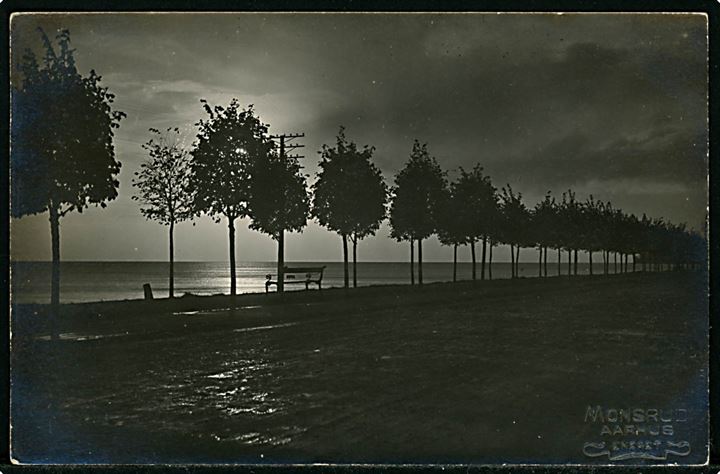 Aarhus, strand allé i månelys. Fotograf Monsrud, Aarhus u/no.