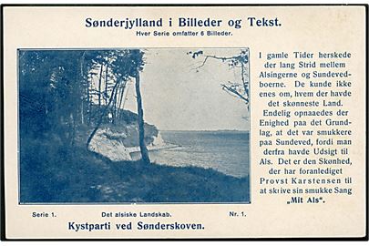 Kystparti ved Sønderskoven. Sønderjylland i Billeder og Tekst serie 1 nr. 1.