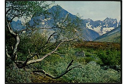 Klosterdalen, Tasermiutfjorden, Sydgrønland. KGH no. 10.  Grønlund Publishers, Foto Hans C. Christiansen. (Uden tiltryk Grønlands Postvæsen).