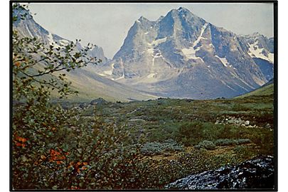 Blomster og kratvegetation. Tasermiutfjorden, Sydgrønland. KGH no. 11.  Grønlund Publishers, Foto Hans C. Christiansen. (Uden tiltryk Grønlands Postvæsen).