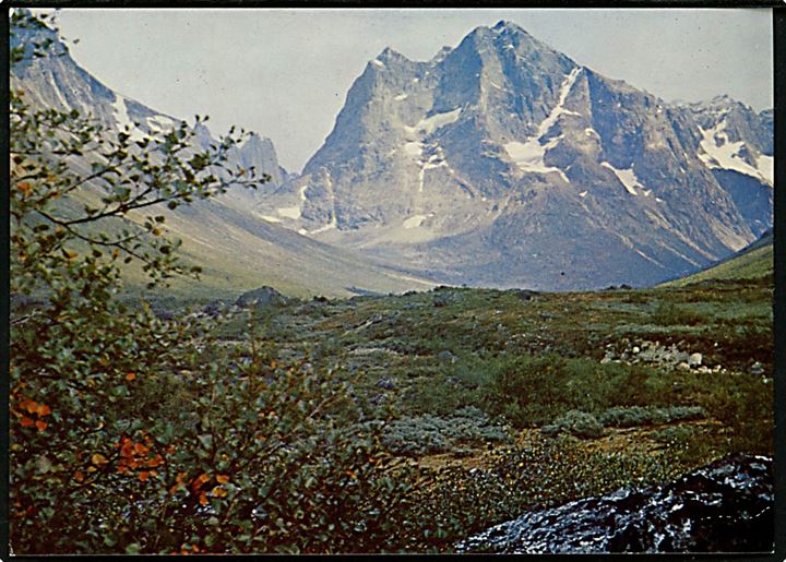 Blomster og kratvegetation. Tasermiutfjorden, Sydgrønland. KGH no. 11.  Grønlund Publishers, Foto Hans C. Christiansen. (Uden tiltryk Grønlands Postvæsen).