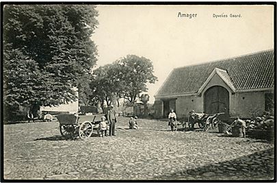 Købh., Amager, Dyvekes Gaard. Knackstedt & Näther u/no.